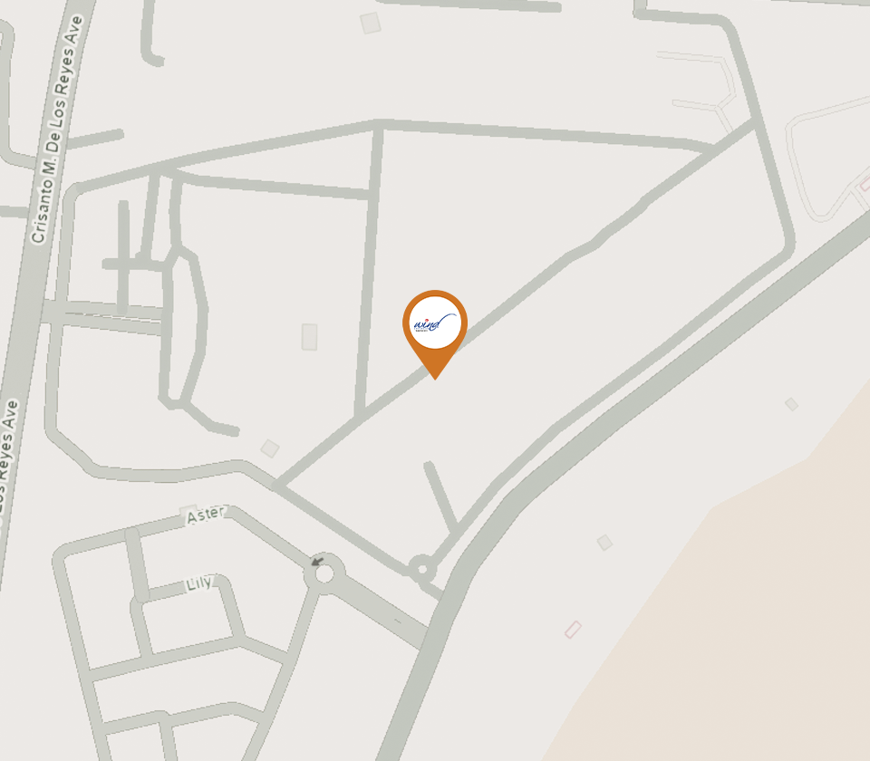 Wind Map (960x840px)