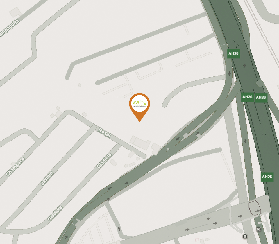 Spring Map (960x840px)