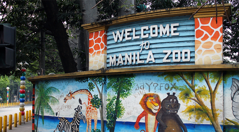 Manila Zoo