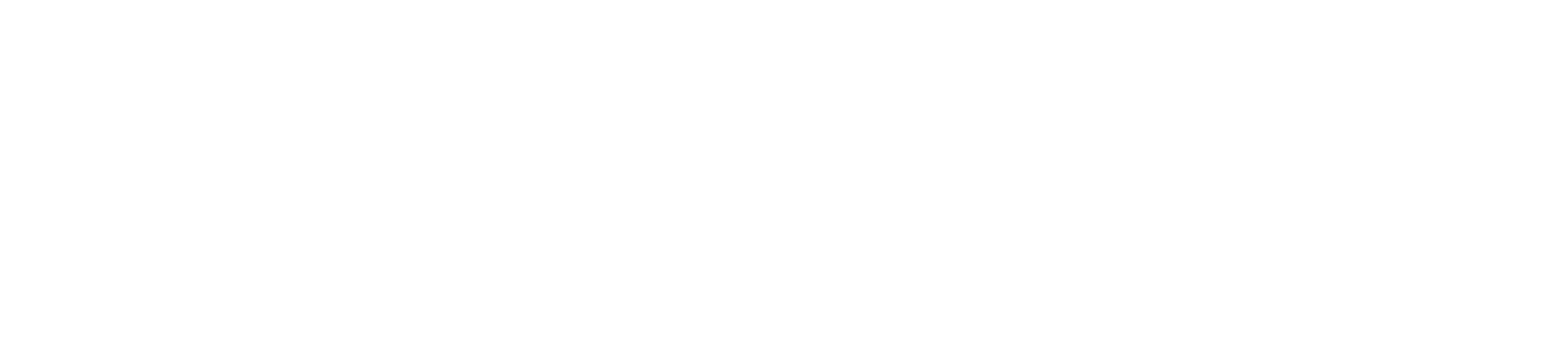 SMDC footer logo